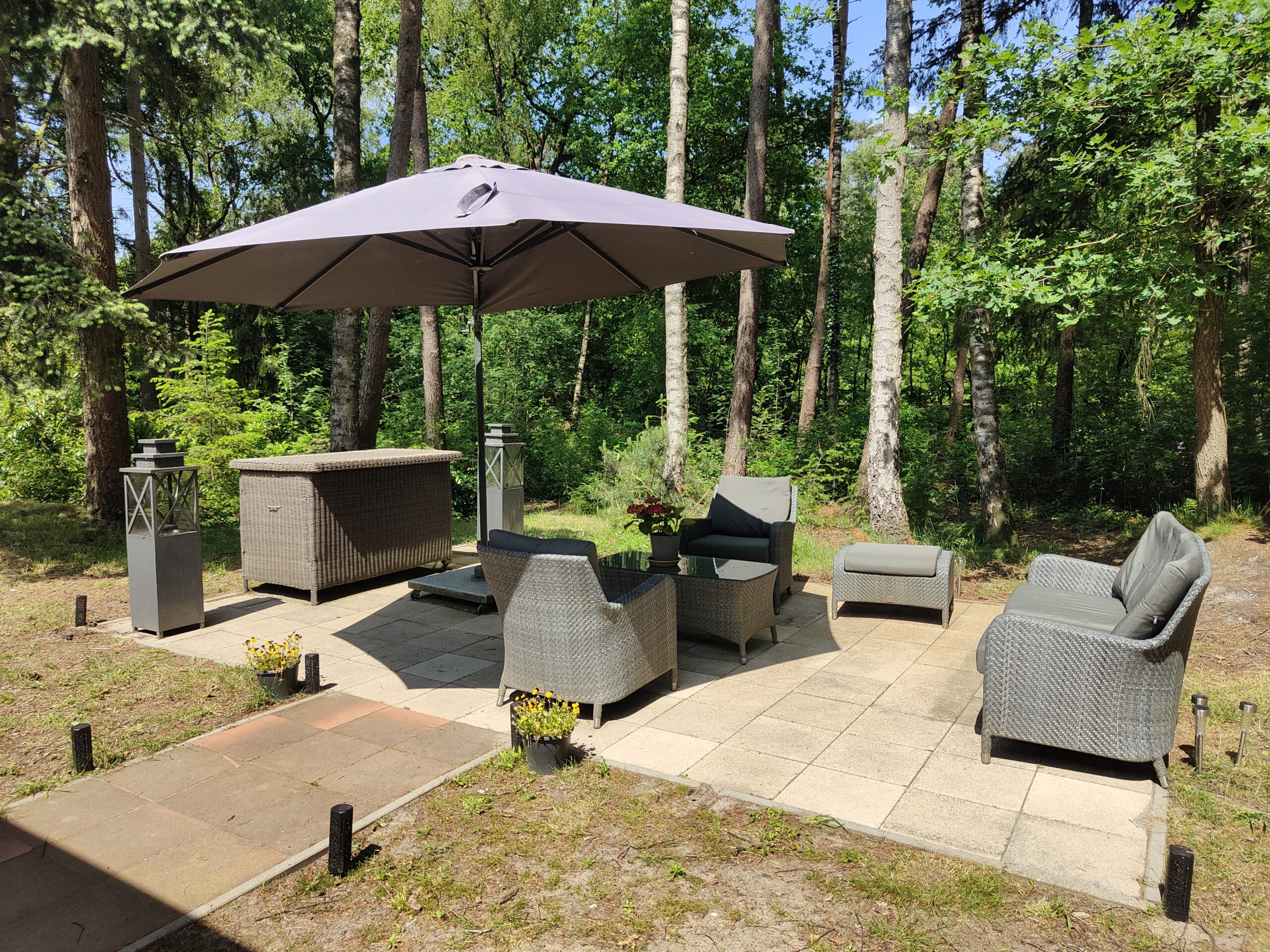 Terras omgeving